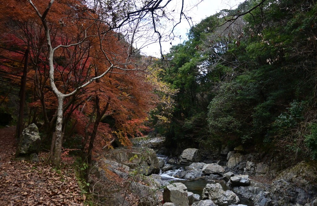 摂津峡風景