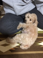 いいでしょう！