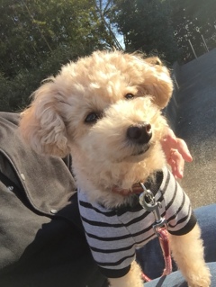 いい天気です。