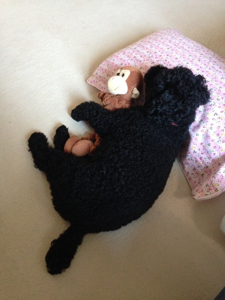 さみしがり屋なぼっくん