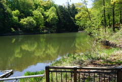 SONY α5100で試し撮り