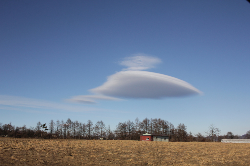 空飛ぶジンベエザメ