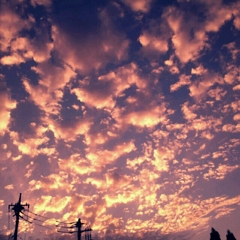 夕方