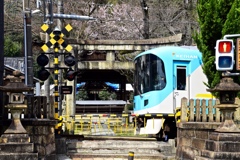 GS4-594