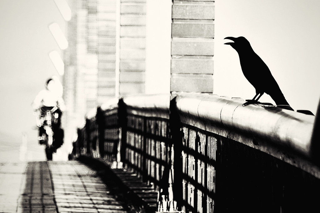 7C6CB7EC-4EC9-4E5A-9289-2A1C8333ED0A