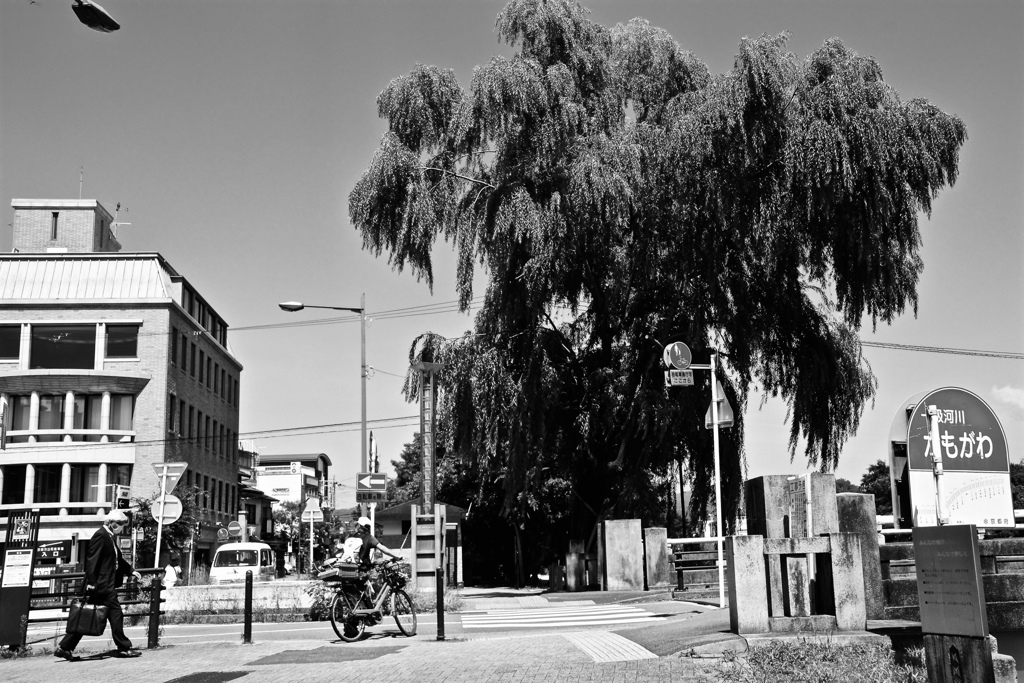 CF33-1663