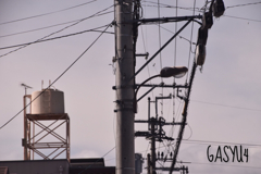GS4-808