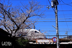 GS4-1071