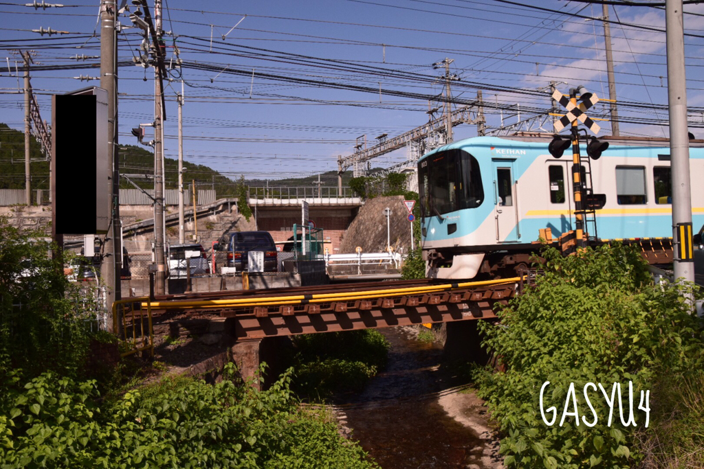 GS4-818