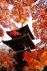 51B00339-7150-49AC-93BB-C3DD3419A4D9