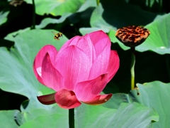 C6929B70-962F-40E5-9F5F-5BE1D5F6DDE3