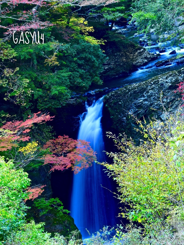 GS4-855
