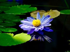 IMG_0036
