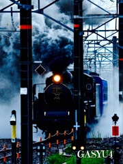 GS4-762