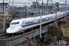GS4-1029