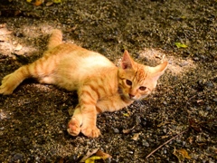 FEC4DD20-B4FB-4800-8CCD-3DC7865DDCD2