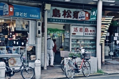 CF33-1313