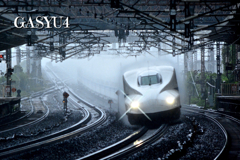 GS4-763