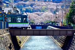 GS4-618