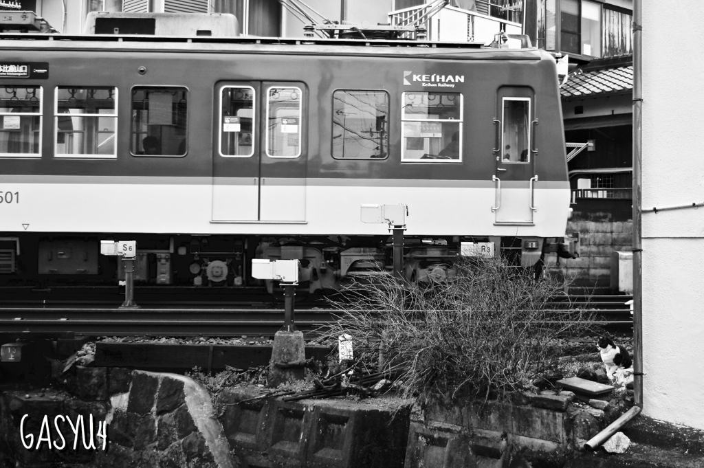 GS4-1016