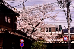 GS4-609