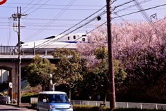 GS4-615