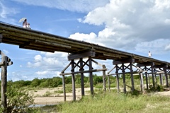 CF33-1703