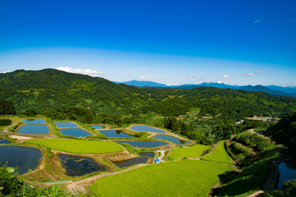 だんだんと、山々