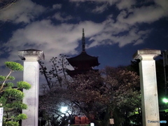 五重塔と桜25-①