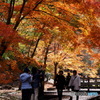 紅葉18-③