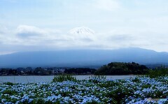 河口湖25-②