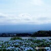 河口湖25-②