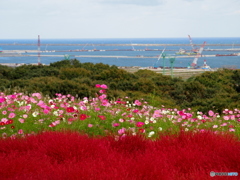 ひたちなか港