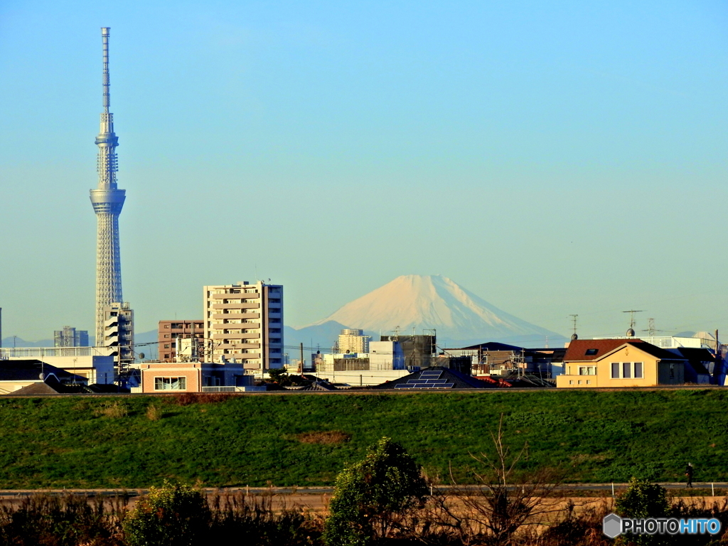 富士山とスカイツリー
