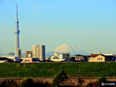 富士山とスカイツリー