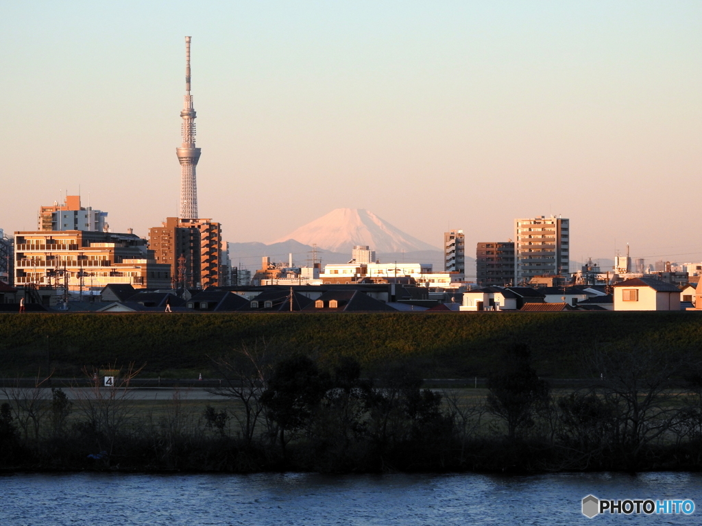 今朝の富士山