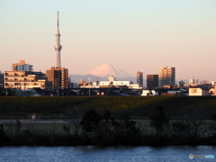 今朝の富士山