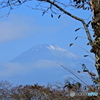 富士山06