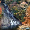 粟又の滝①