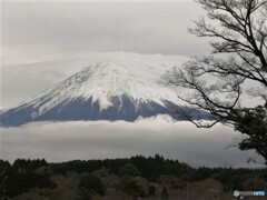 富士山05