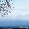河口湖25-①