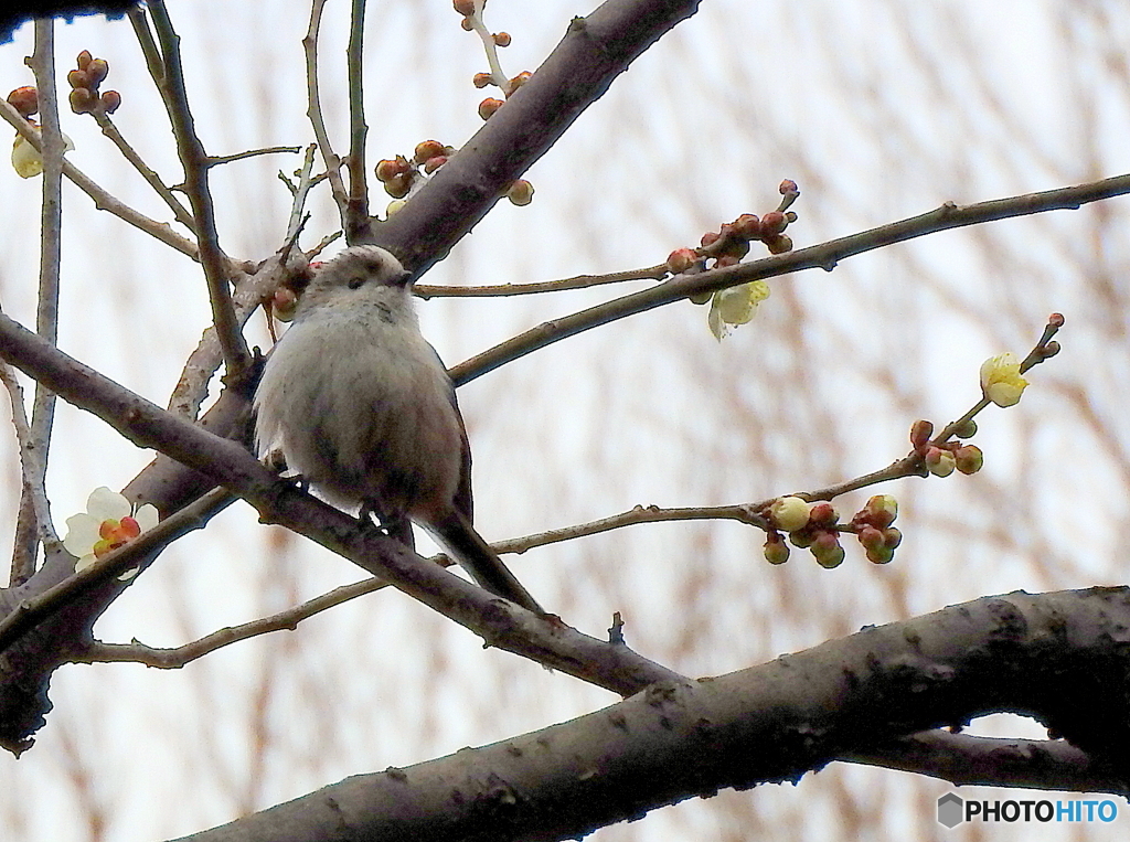 視線の先は・・④