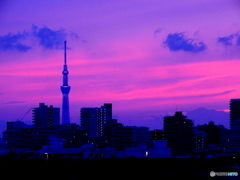 今日の夕暮