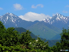 蝶ヶ岳・常念岳25-①