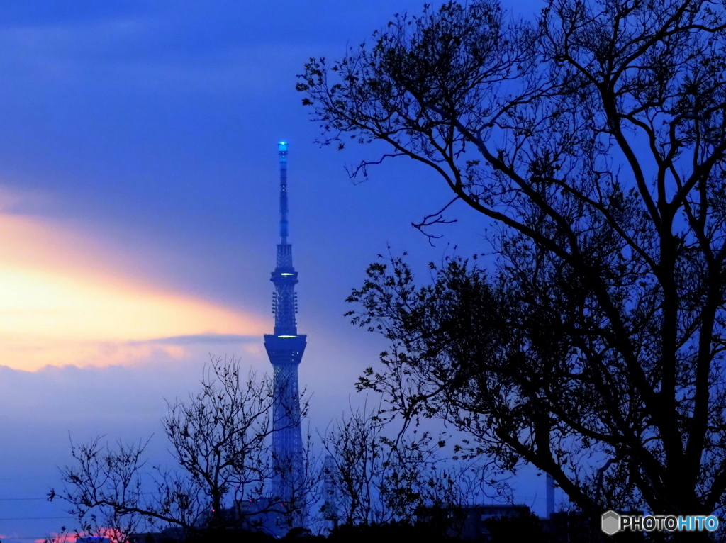今日の夕景