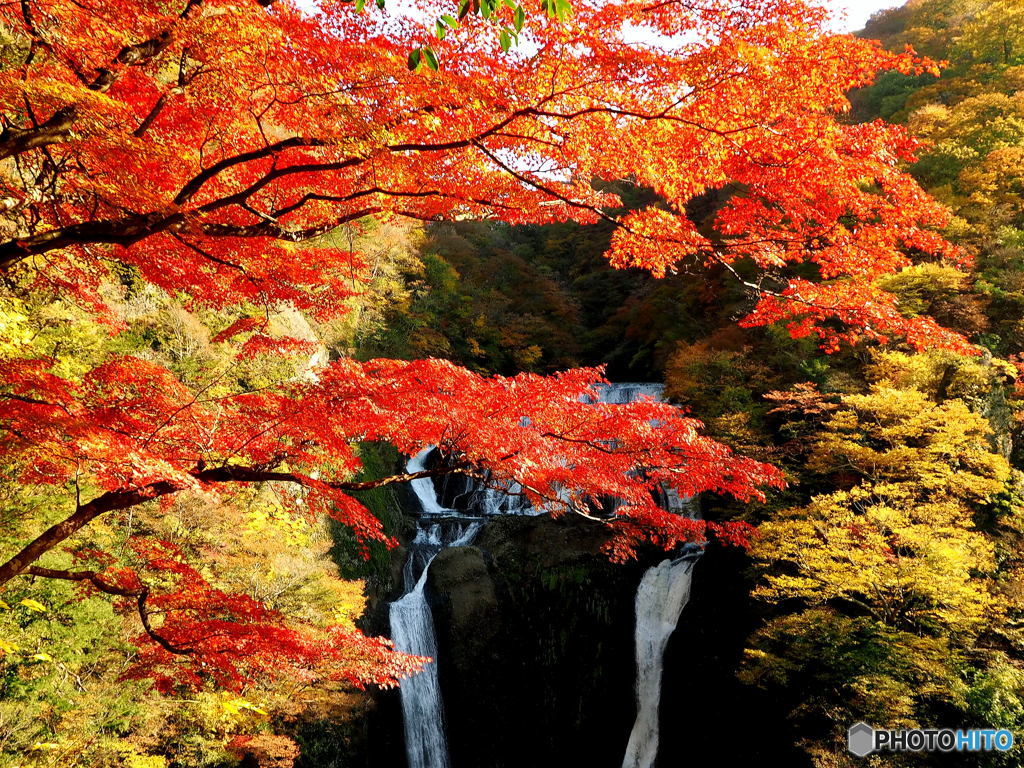 紅葉03