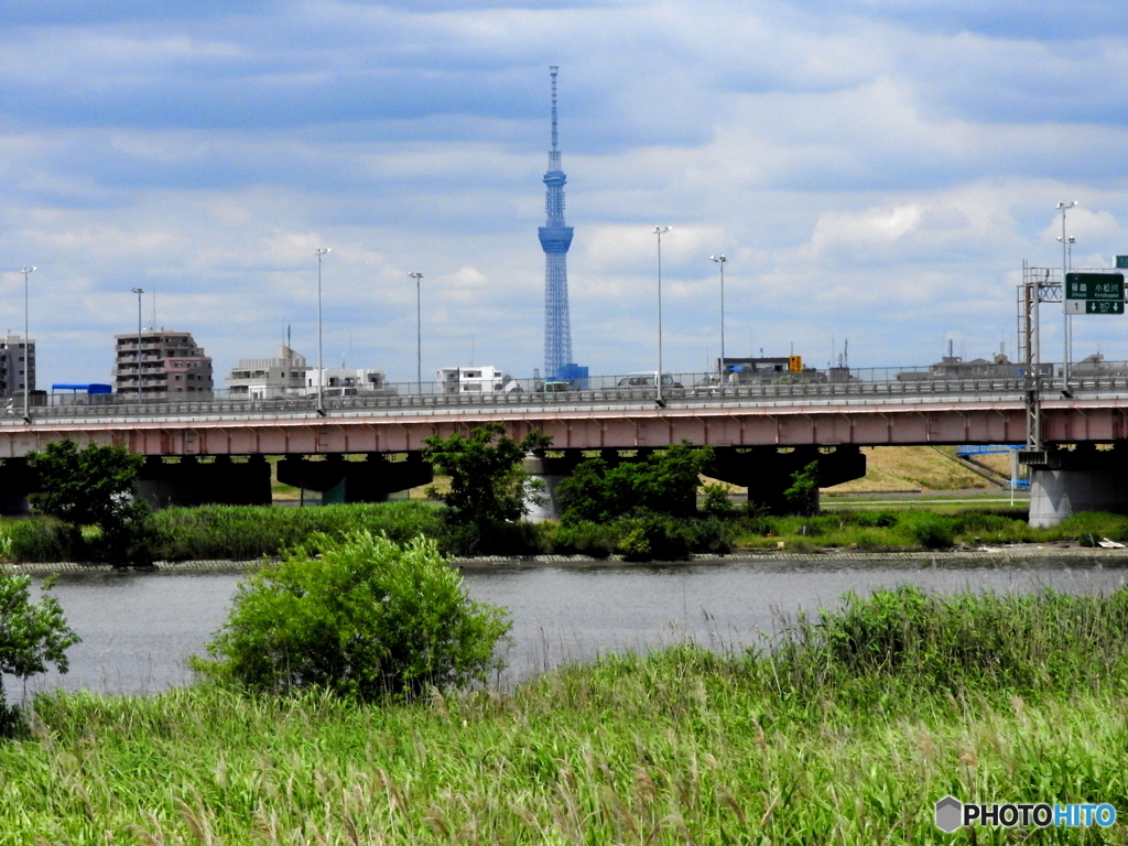 スカイツリー②