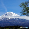 今朝の富士山