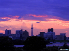 今日の夕暮04