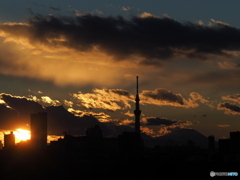 今日の夕景